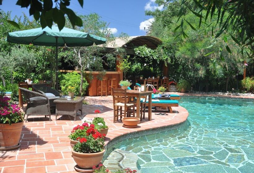 El Vino Hotel & Suites