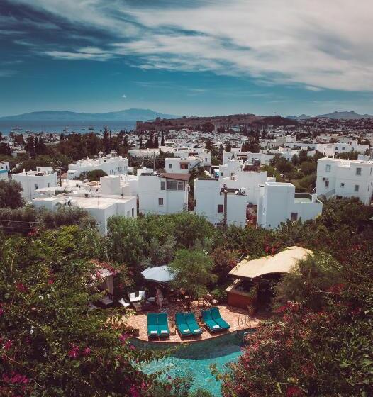 El Vino Hotel & Suites