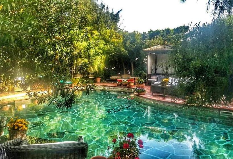 El Vino Hotel & Suites