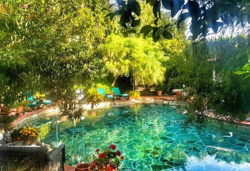 El Vino Hotel & Suites