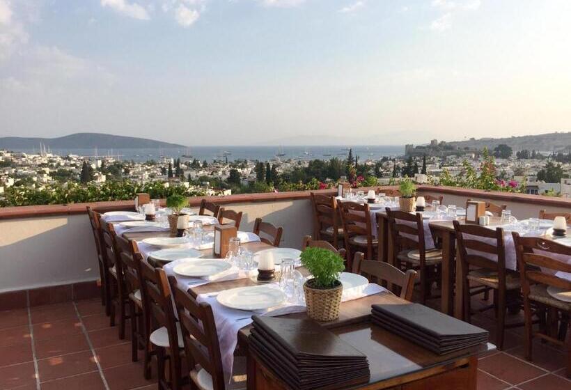 El Vino Hotel & Suites