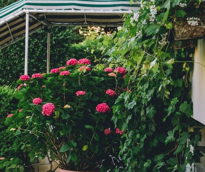 فندق Eveline Portosole