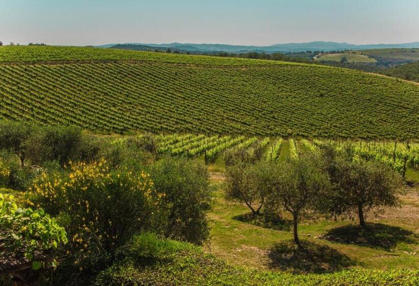 فندق Fattoria Di Magliano Winery