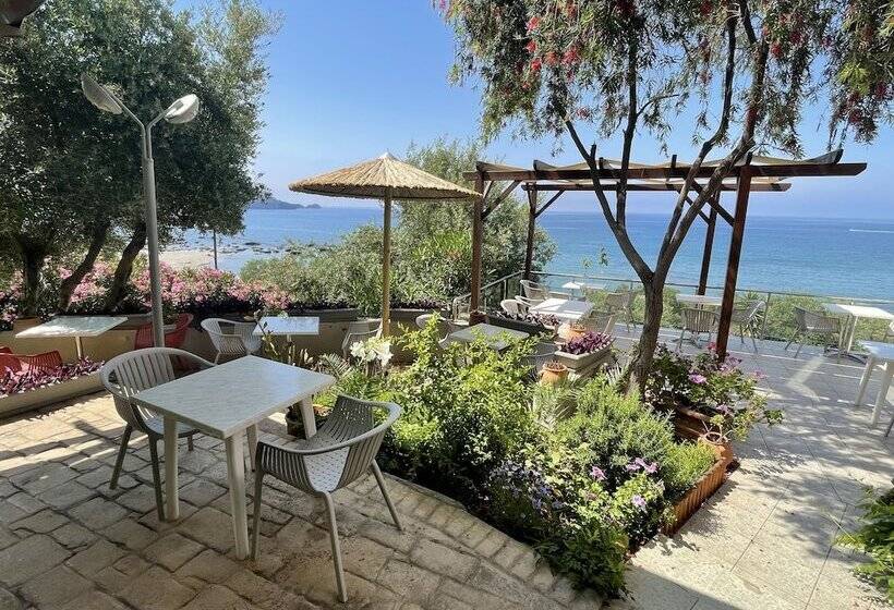 Отель Horizon Beach