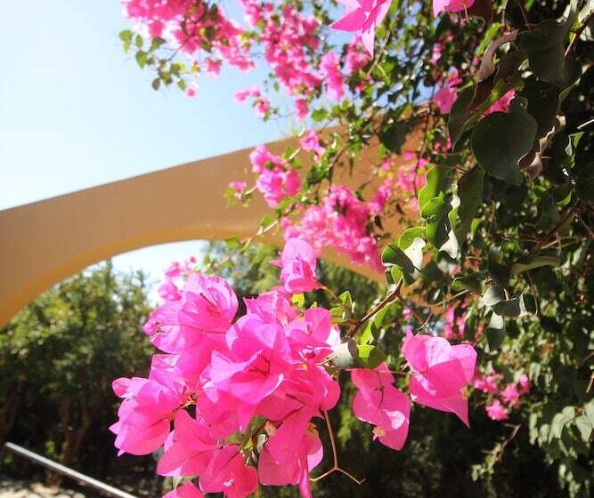 Отель Horizon Beach