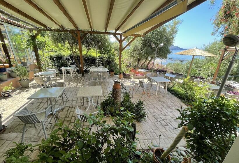 Отель Horizon Beach