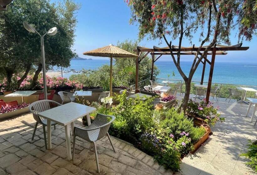 Отель Horizon Beach