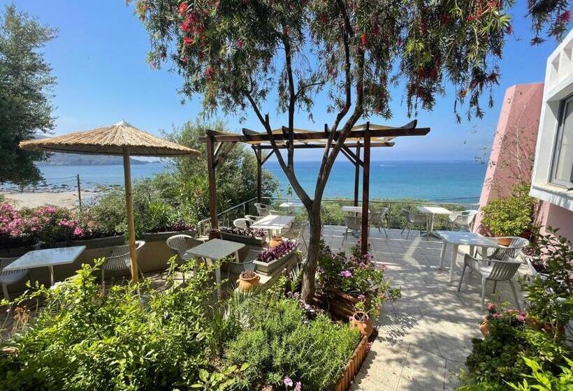 Отель Horizon Beach