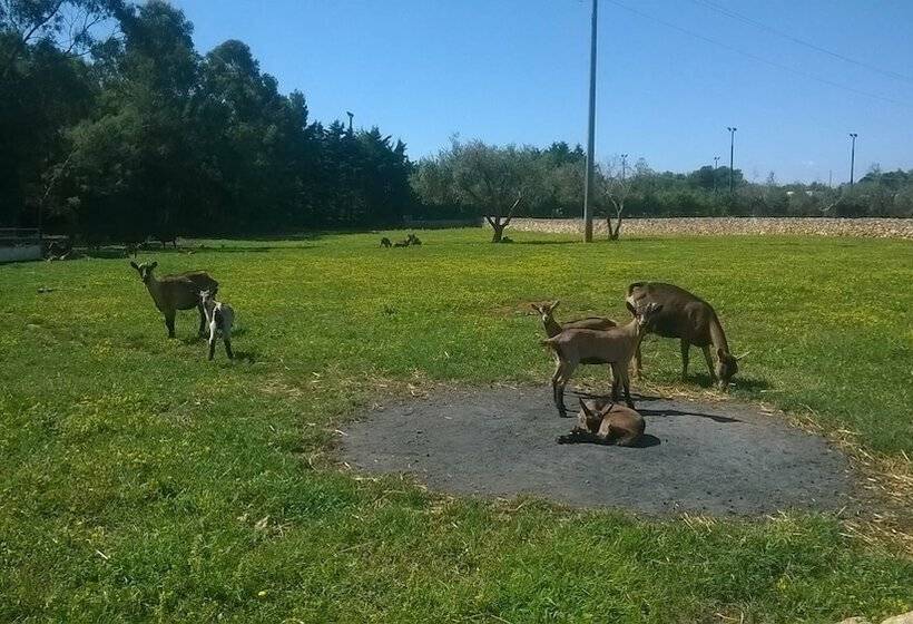 בית מלון כפרי Il Venticello Agriturismo