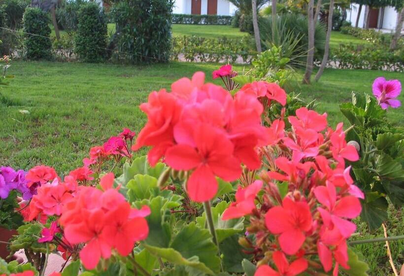 בית מלון כפרי Il Venticello Agriturismo