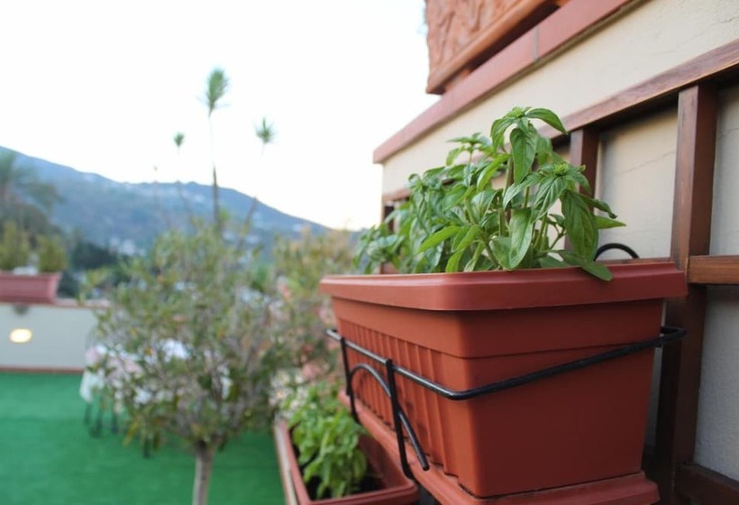 فندق La Filadelfia