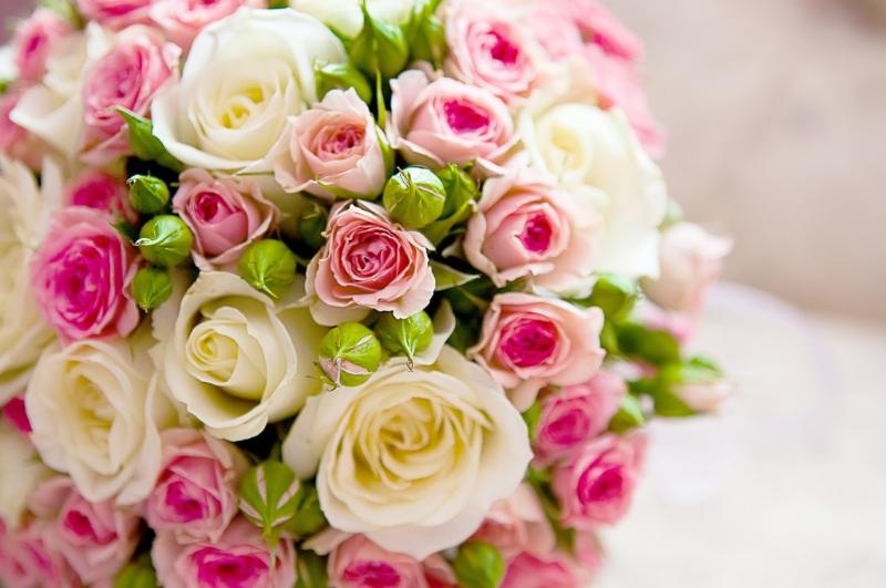 בית מלון כפרי Mariano Iv Palace