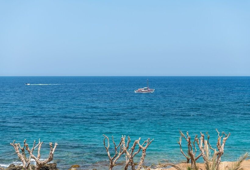 فندق Maritimo Beach