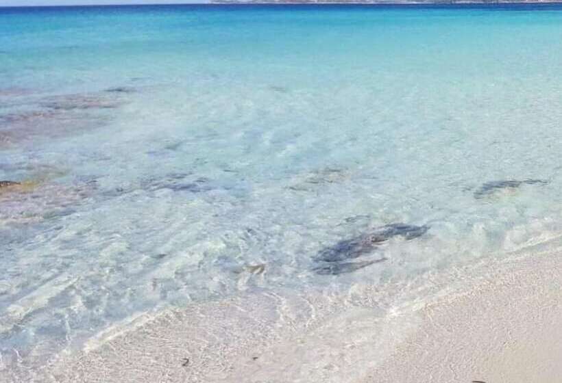 בית מלון כפרי Micalosu