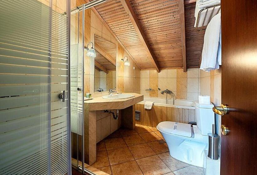 בית מלון כפרי Nostos