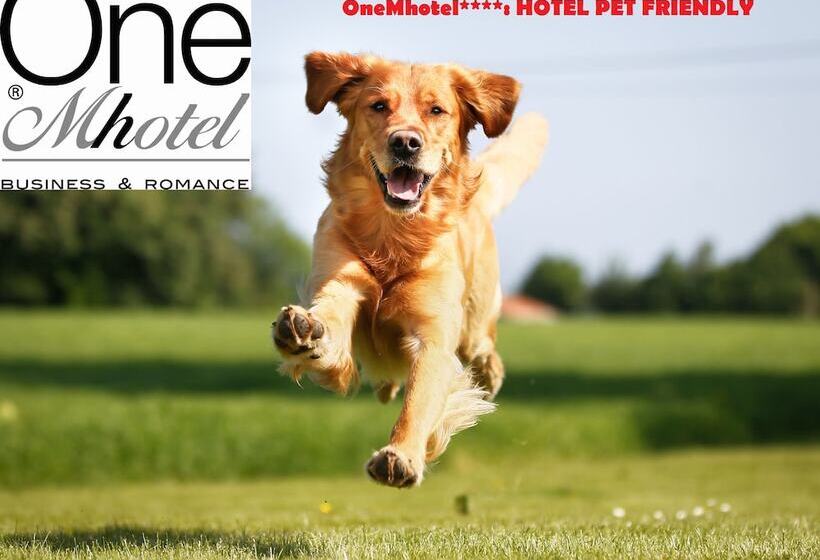 בית מלון כפרי Onem