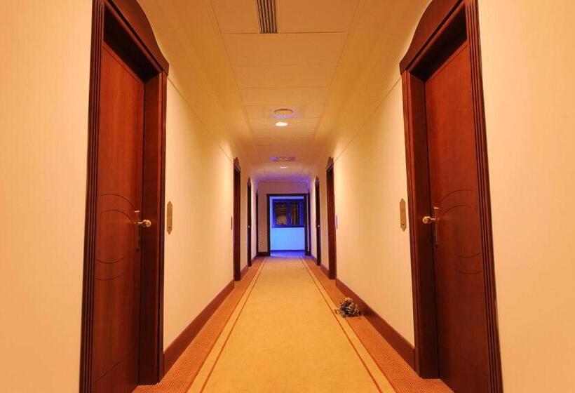 فندق Palace Savuto