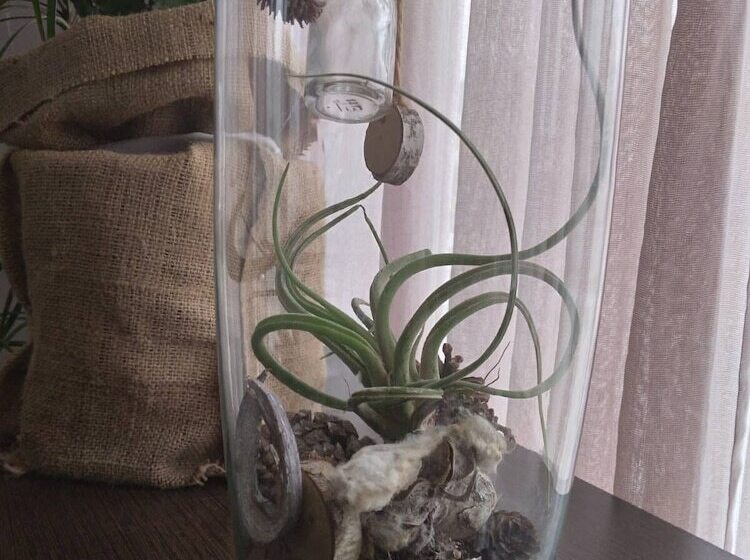 בית מלון כפרי Philippos Xenia