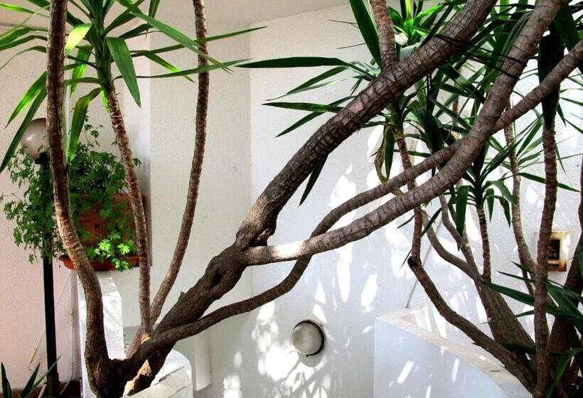 בית מלון כפרי Pop