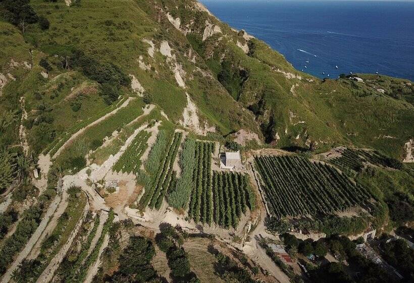 Отель Punta Chiarito Resort