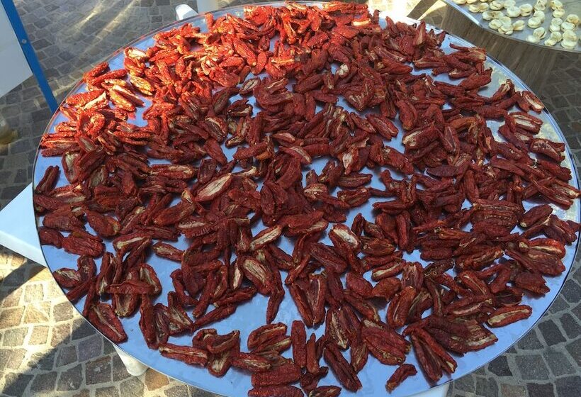 酒店 Punta Chiarito Resort