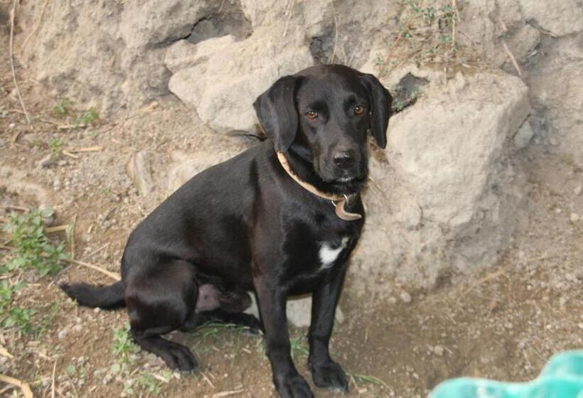 Отель Punta Chiarito Resort