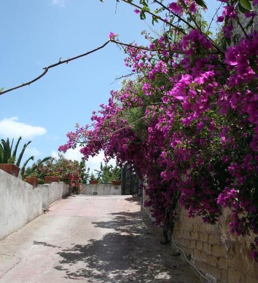 ホテル Punta Chiarito Resort