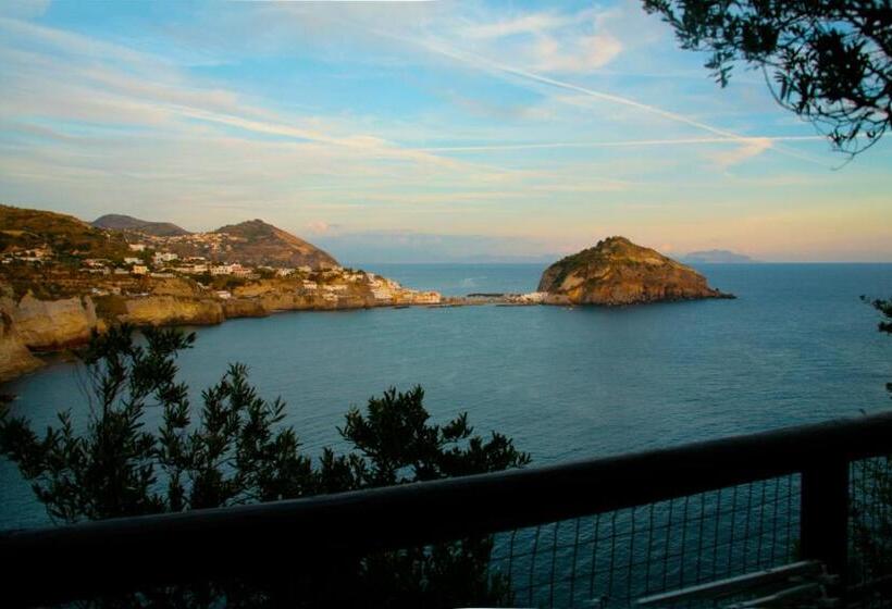 فندق Punta Chiarito Resort