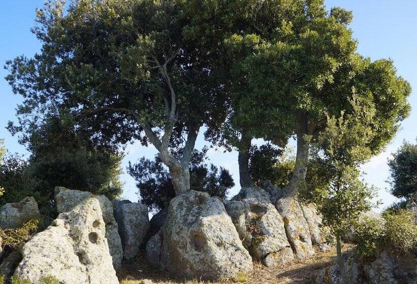 酒店 Residence Ampurias