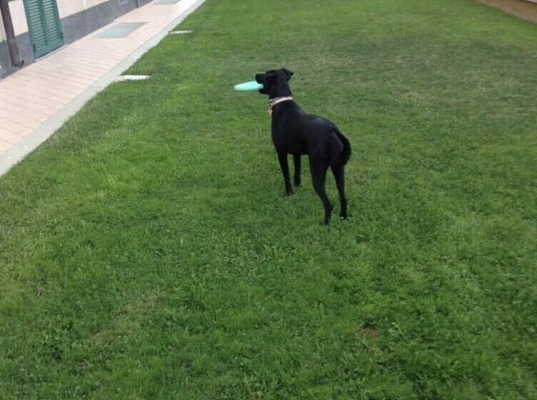 فندق Residence Le Saline