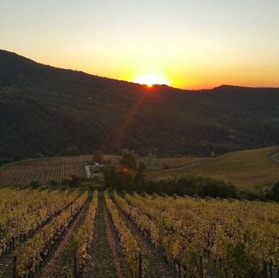 호텔 Ristorante Miramonti