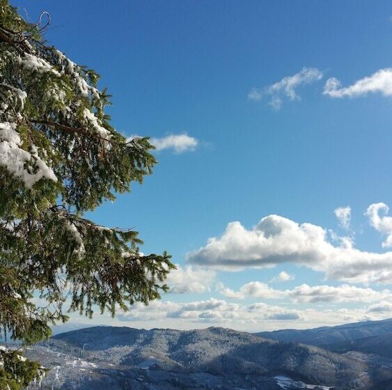 호텔 Ristorante Miramonti