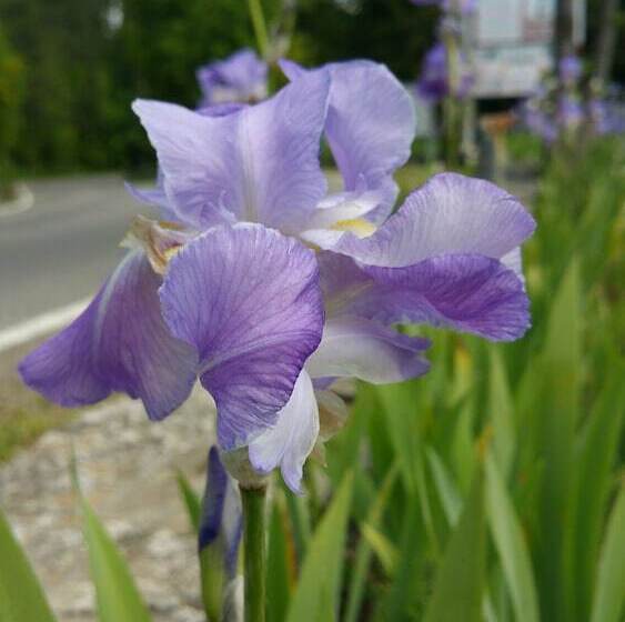 호텔 Ristorante Miramonti