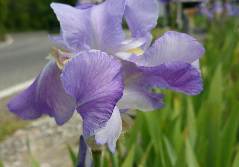 호텔 Ristorante Miramonti