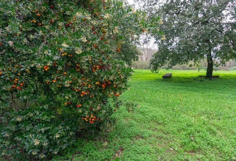 فندق ريفى Villa Trigona