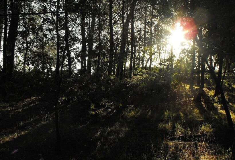 فندق ريفى Villa Trigona