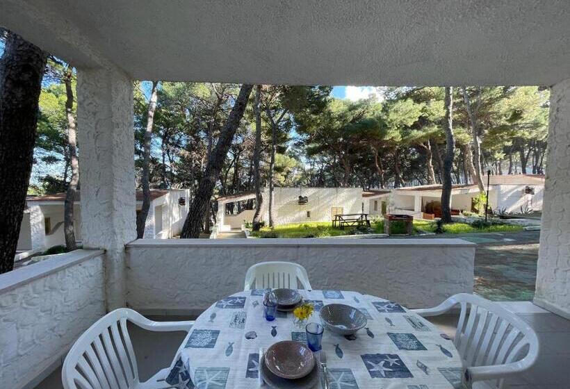 בית מלון כפרי Sfinal Residence