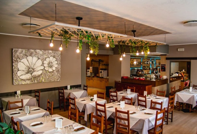 בית מלון כפרי Sonia