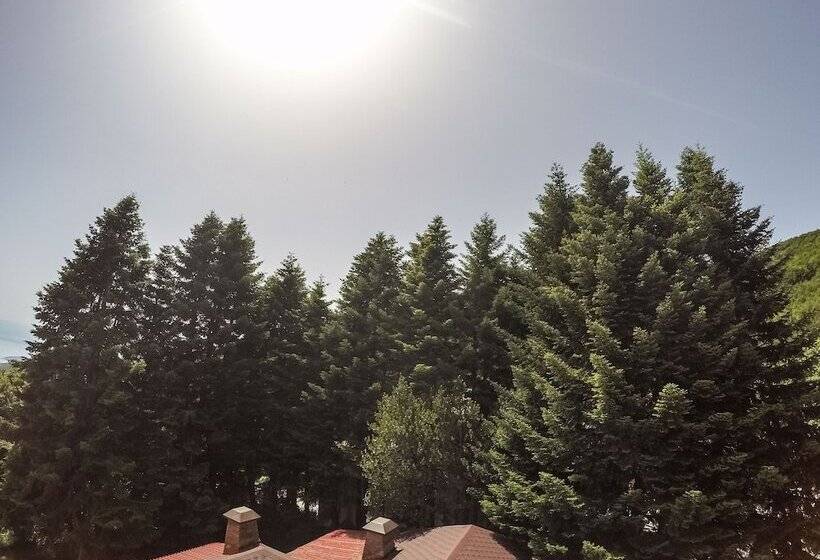 בית מלון כפרי Tasia