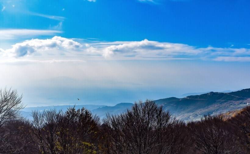 בית מלון כפרי Tasia