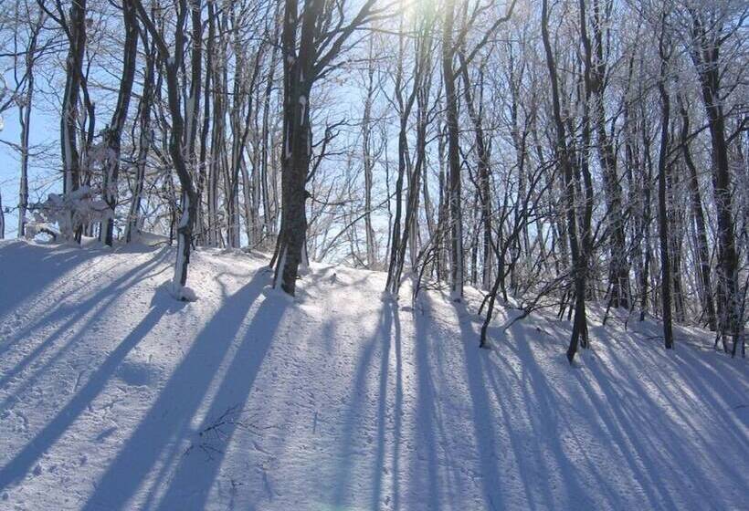 בית מלון כפרי Tasia