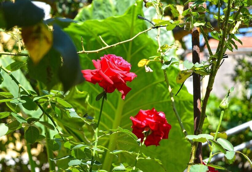 בית מלון כפרי The Secret Garden Relais