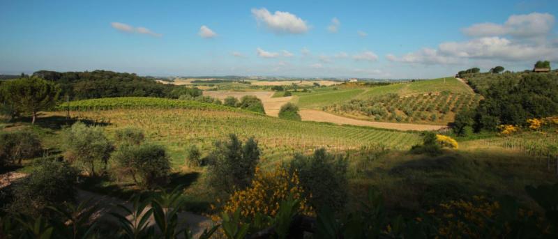 ホテル Villa Curina Resort