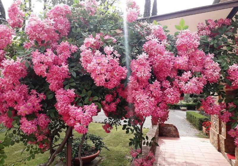 ホテル Villa Curina Resort