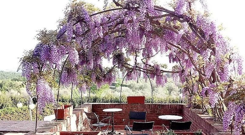 ホテル Villa Curina Resort