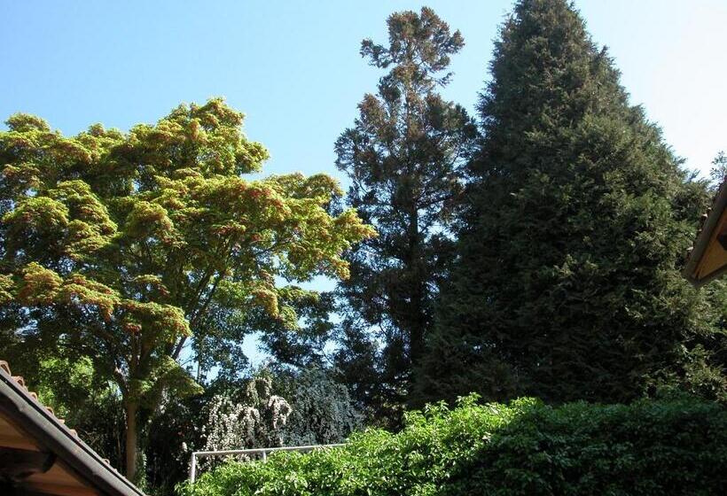 酒店 Villa d'Azeglio