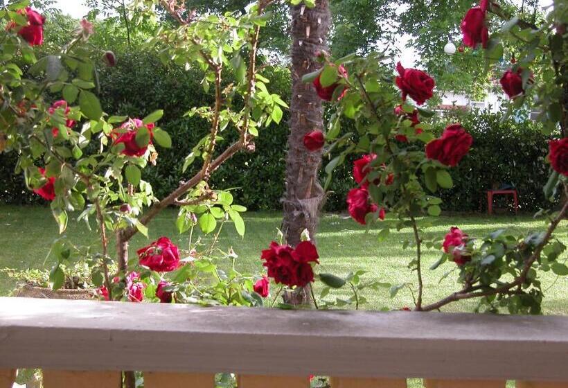 酒店 Villa d'Azeglio