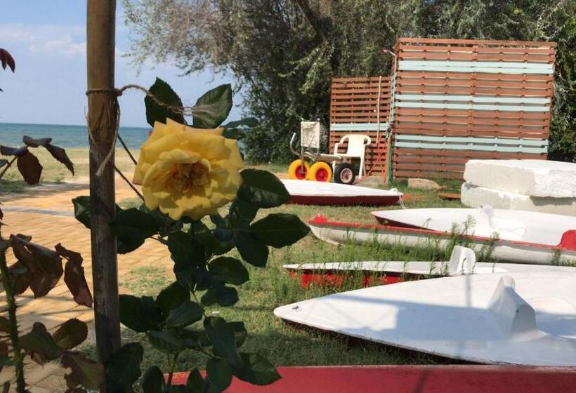 酒店 Villa Sevasti