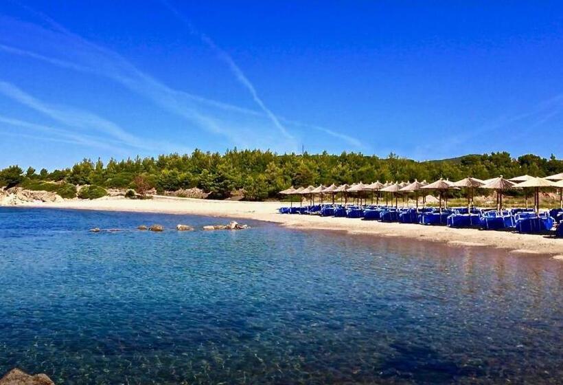 בית מלון כפרי Village Mare