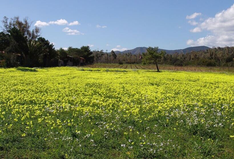 בית מלון כפרי Villaggio Porto Corallo